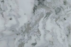 WhatsApp Image 2025-08-04 at 14.32.48